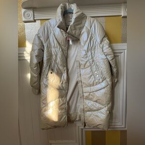 Shimmering Silver Puffer Jacket